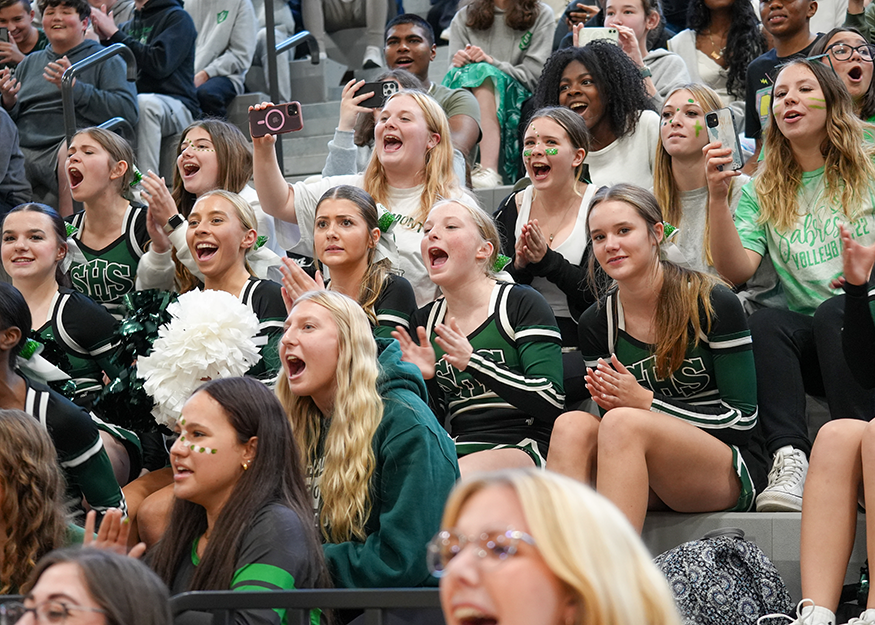 Students cheer in stands